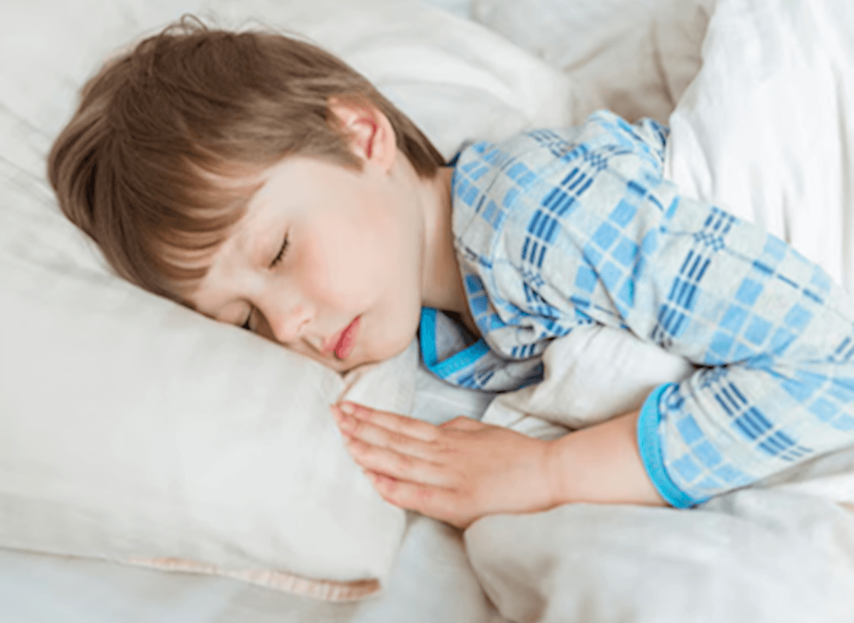Sleep with Disability: Sleepwise eManual and Webinar Series - (SWD1229)
