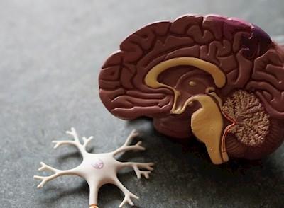 Understanding Pain; Pain Science and Pain Management Over the Lifespan